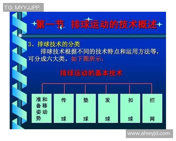 上海排球队战术实力分析排球战术排行榜揭晓第六名位置 上海排球队战术实力分析排球战术排行榜揭晓第六名位置