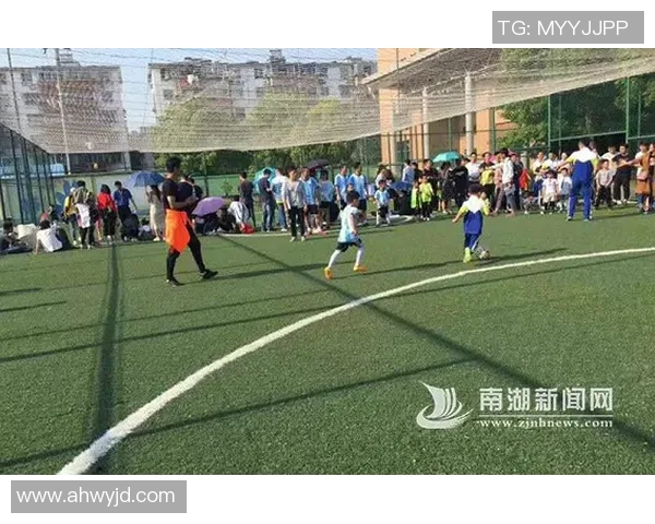 南湖足球明星近期动态与表现分析，谁是最受关注的球员