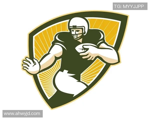 中国美式足球的崛起与发展探索：从校园到职业联赛的全景分析