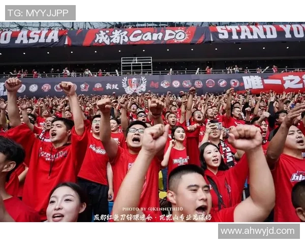 妞博足球：探索足球世界的魅力与激情，开启你的足球之旅