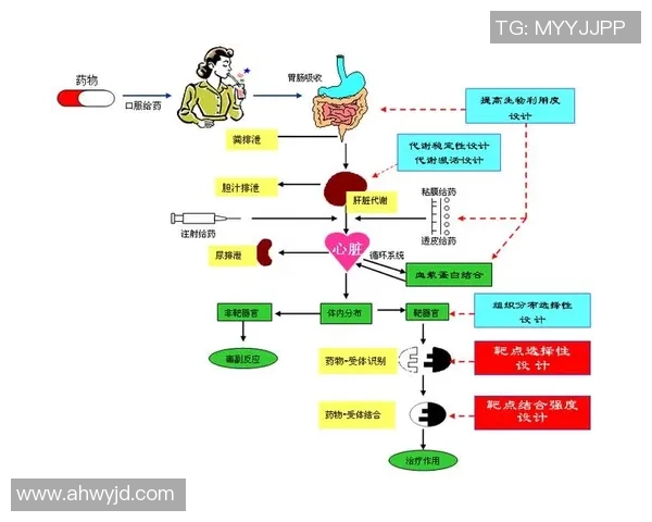 南京极限运动队战术表现的数据分析与策略优化研究 南京极限运动队战术表现的数据分析与策略优化研究