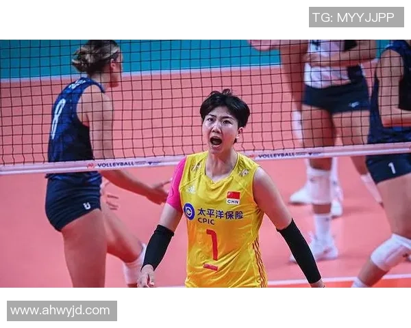 深圳排球队的整体压制革新探索与实践全景分析