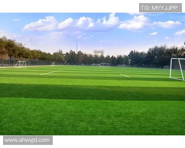 新科足球引领潮流探索未来竞技新模式与青少年发展路径 新科足球引领潮流探索未来竞技新模式与青少年发展路径