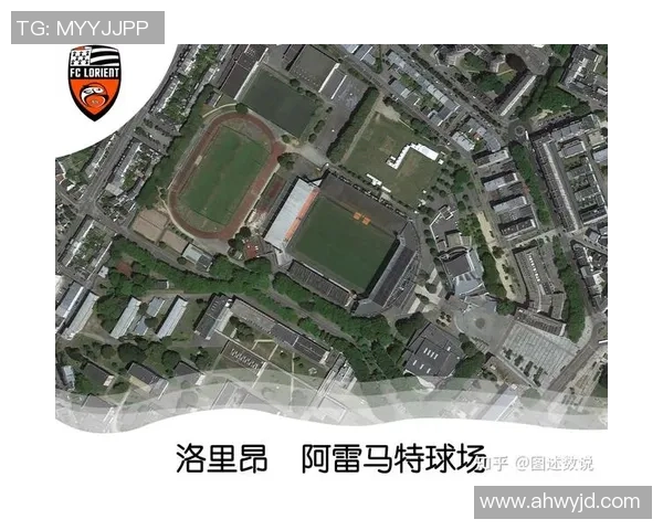 法国裸体足球运动的兴起与文化影响探讨