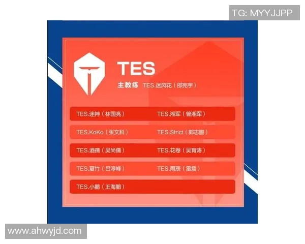 王者荣耀深度解析：TES战队意识背后的秘密与策略探讨