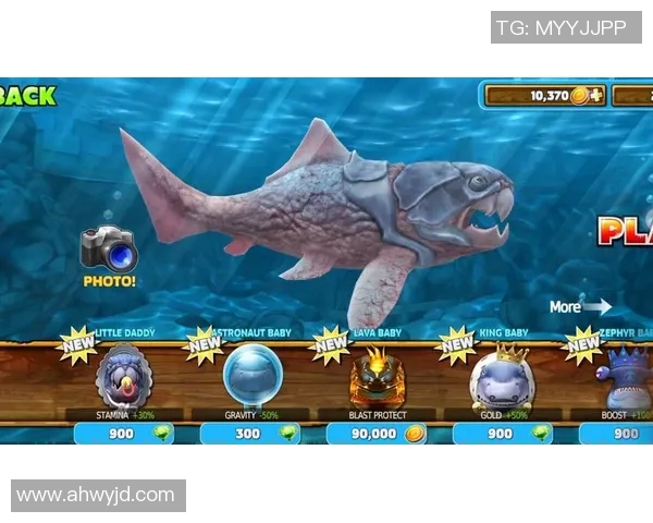 饥饿鲨进化足球幼鲨的奇幻冒险之旅与成长挑战 饥饿鲨进化足球幼鲨的奇幻冒险之旅与成长挑战